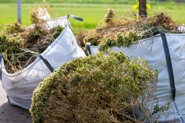Best Electronics Removal Services  in Palmyra, IN